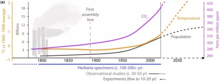 Graphic illustrating the timescale of herbarium specimens