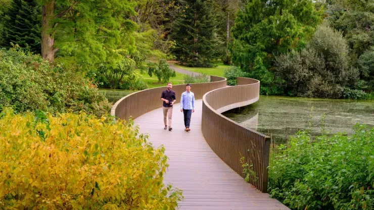 Visitors walk over the Lake Crossing