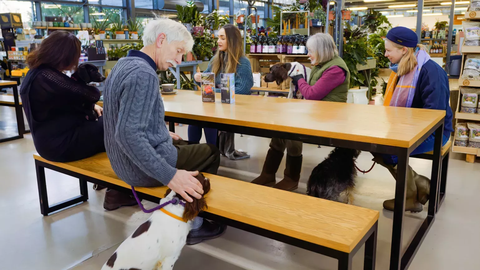 Group of people enjoying drinks and snacks at a table with their dogs