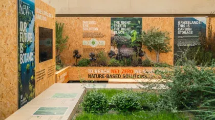 Informative wooden panels surrounded by plants