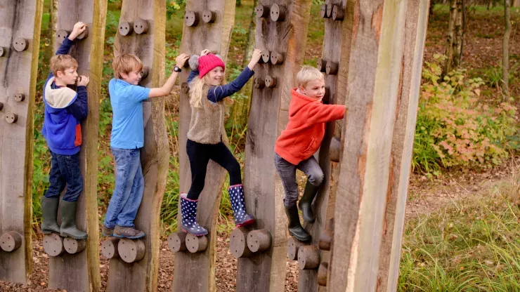 Children climbing in a woodland playground at Wakehurst