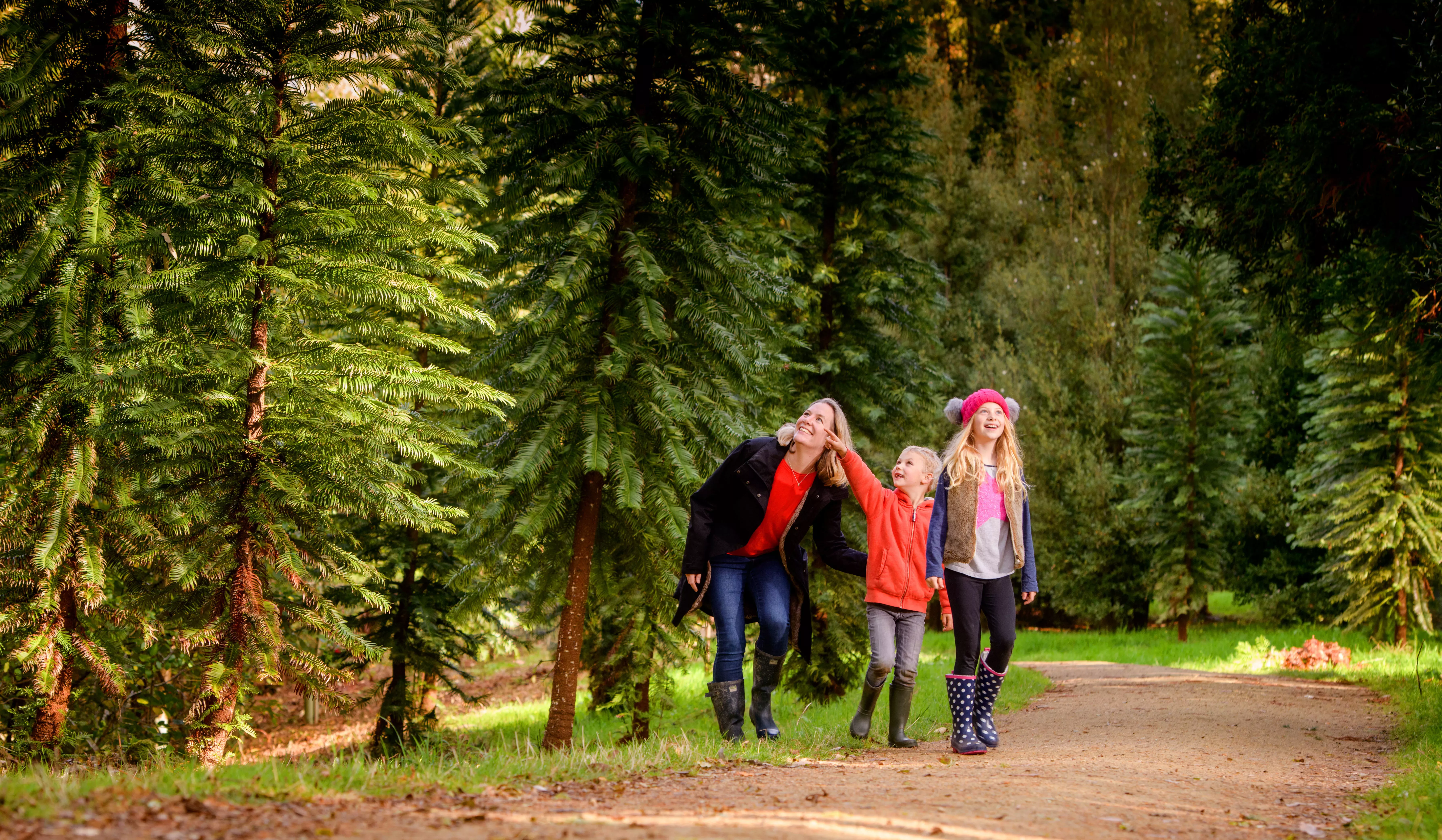 Family of three walking through a wooded area