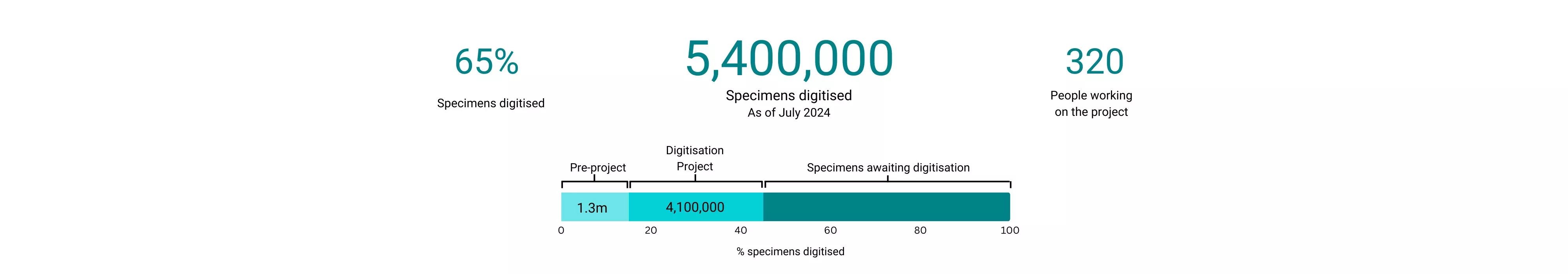 Graphic showing the Digitisation Project numbers to date