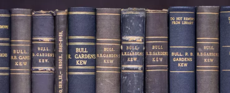 Books on a shelf