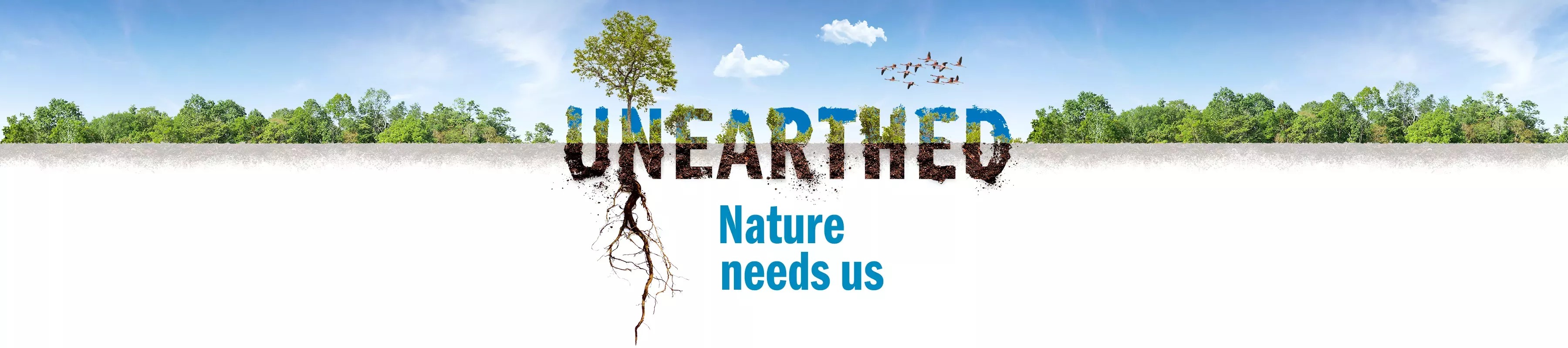 A banner showing forest, blue sky, birds and the text Unearthed Nature needs us