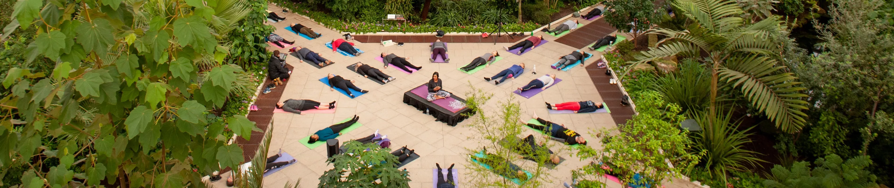 Yoga in the Temperate House