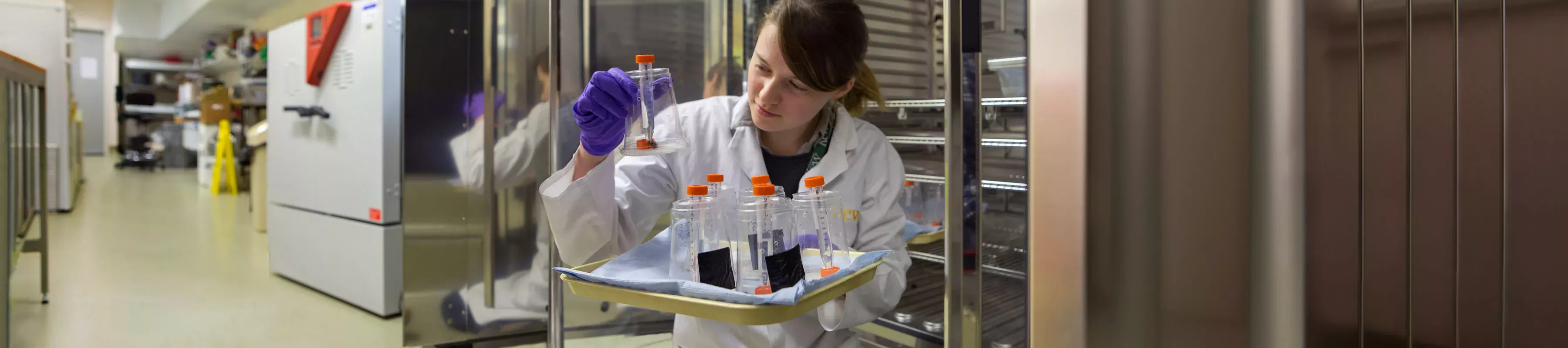 Student holding tube in lab