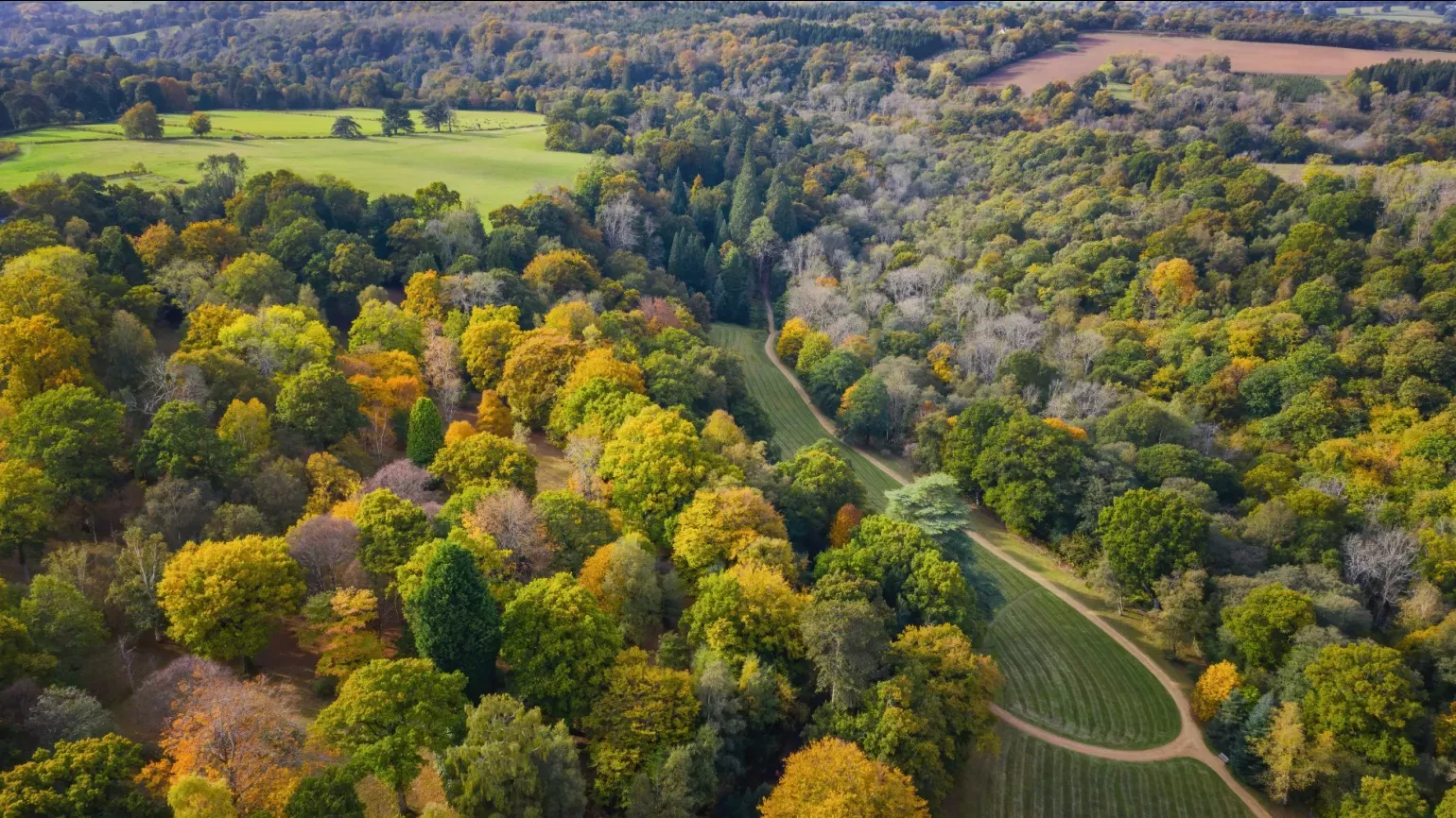 A aerial shot of a forest and meadowland