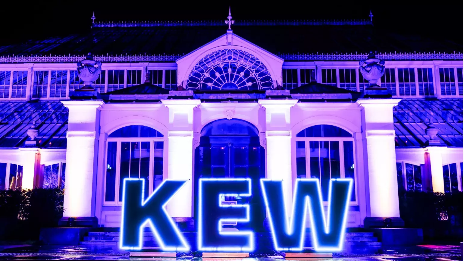 Lit up temperate house with large Kew installation