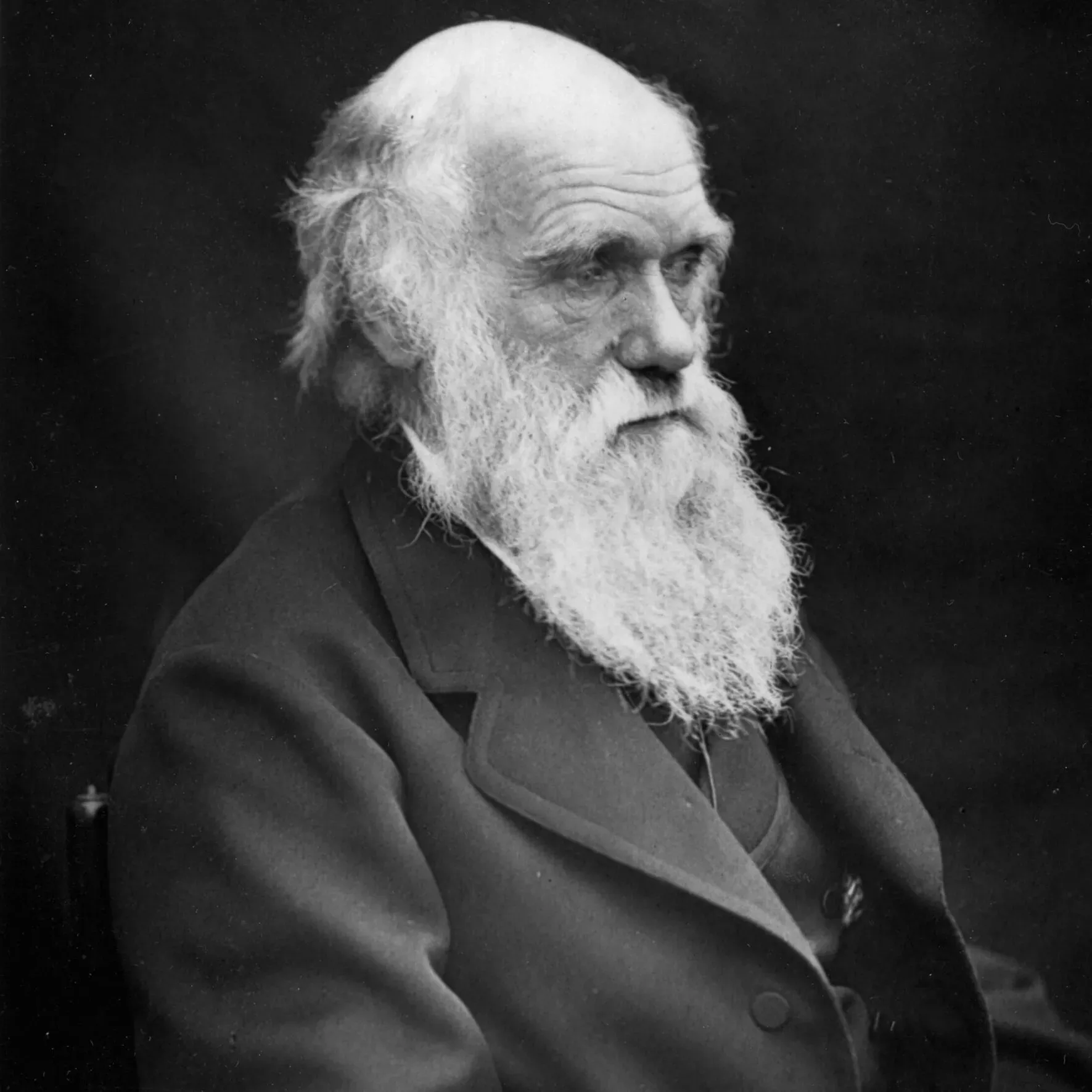 A portrait photo of Charles Darwin