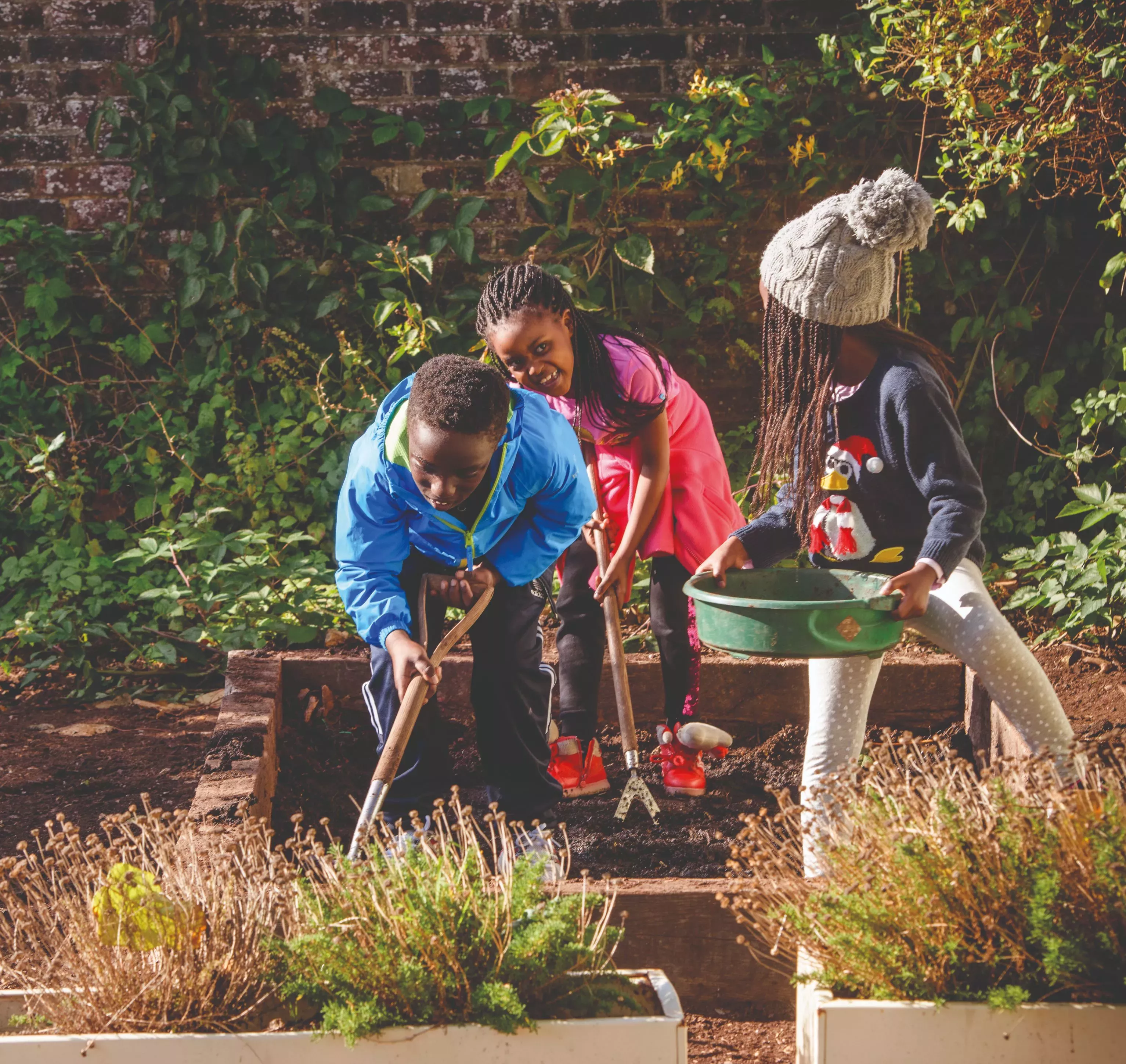 Children digging in a garden