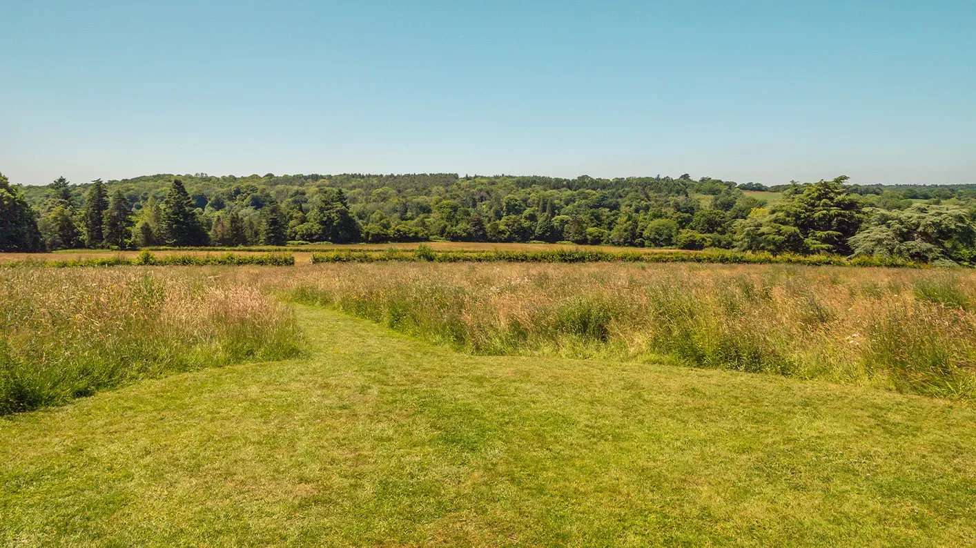 A drone shot of Coronation meadow grassland, looking towards trees in the distance. 