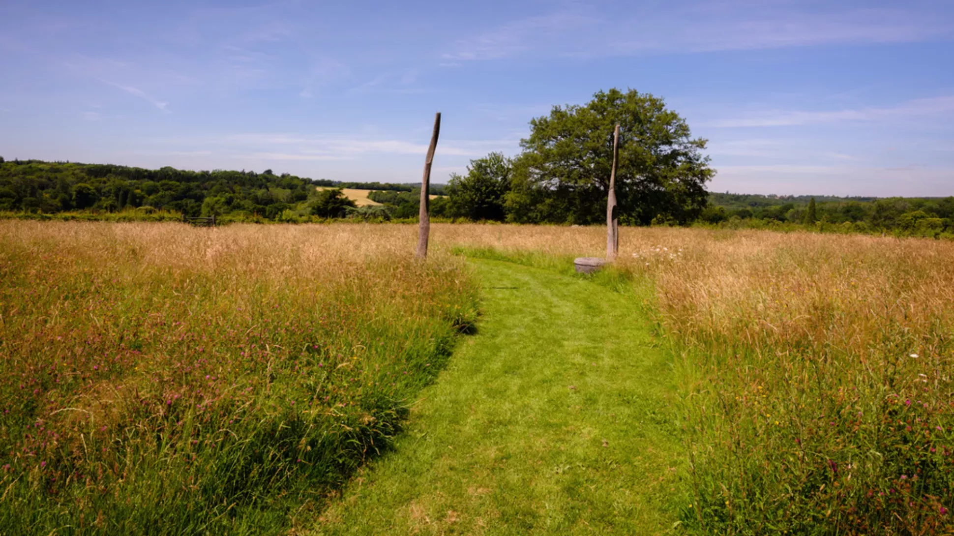 A large open field with a tree in front of a blue sky