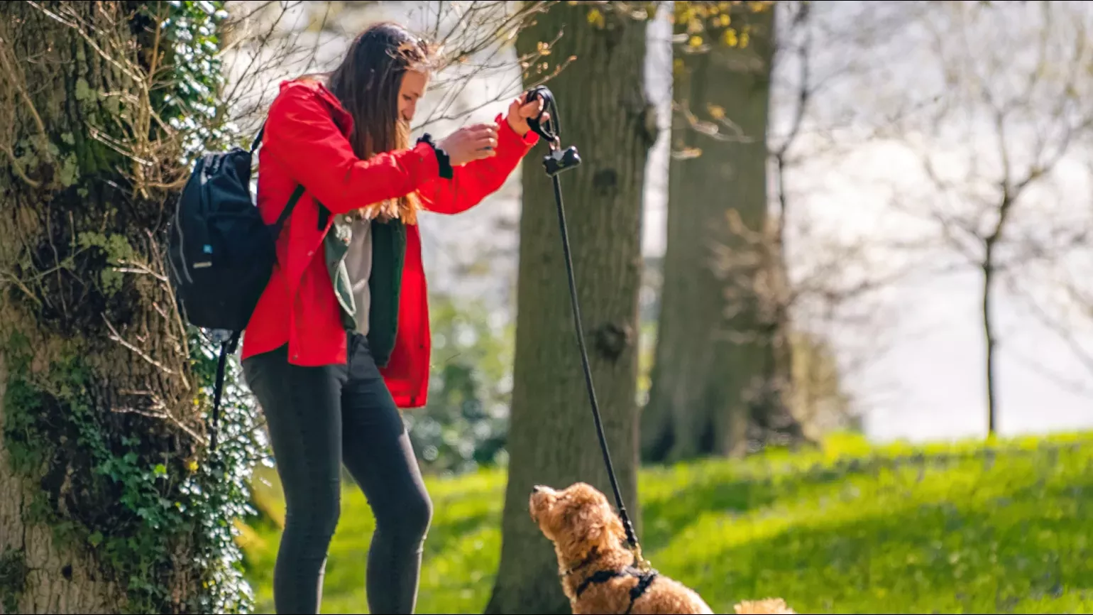 A person playing with a dog in a wooded environment