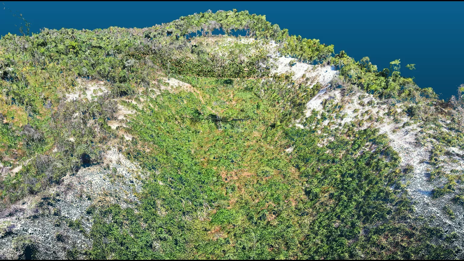 A computer render of a valley six months after burning