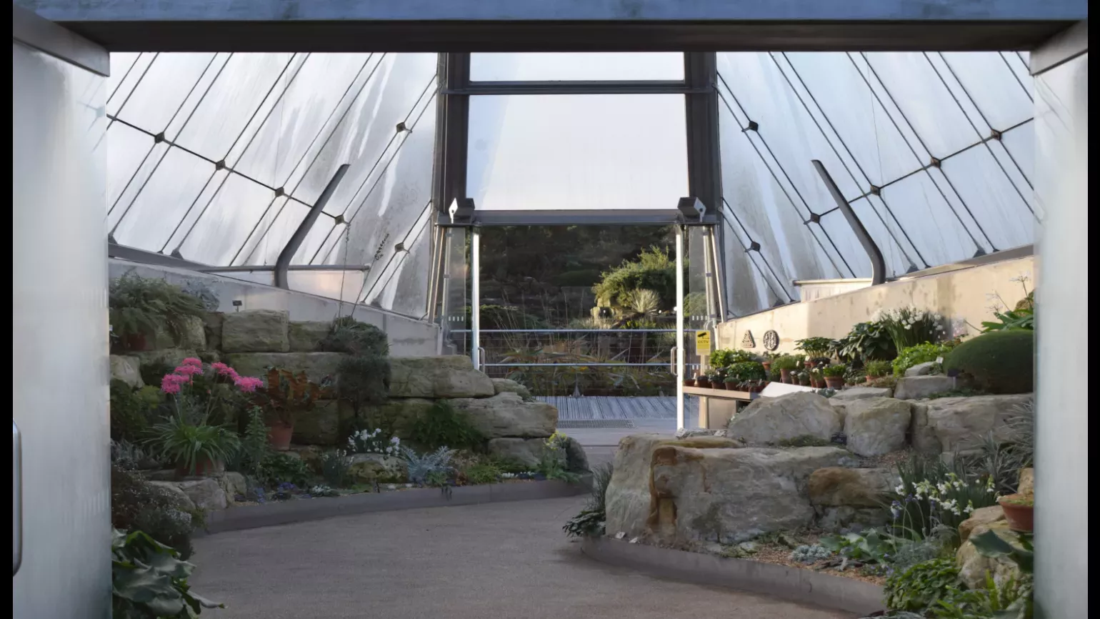 Interior of Davies Alpine House