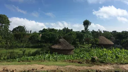 Farm buildings and crops