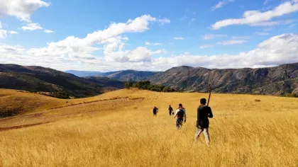 A line of people walking through a field of golden grass