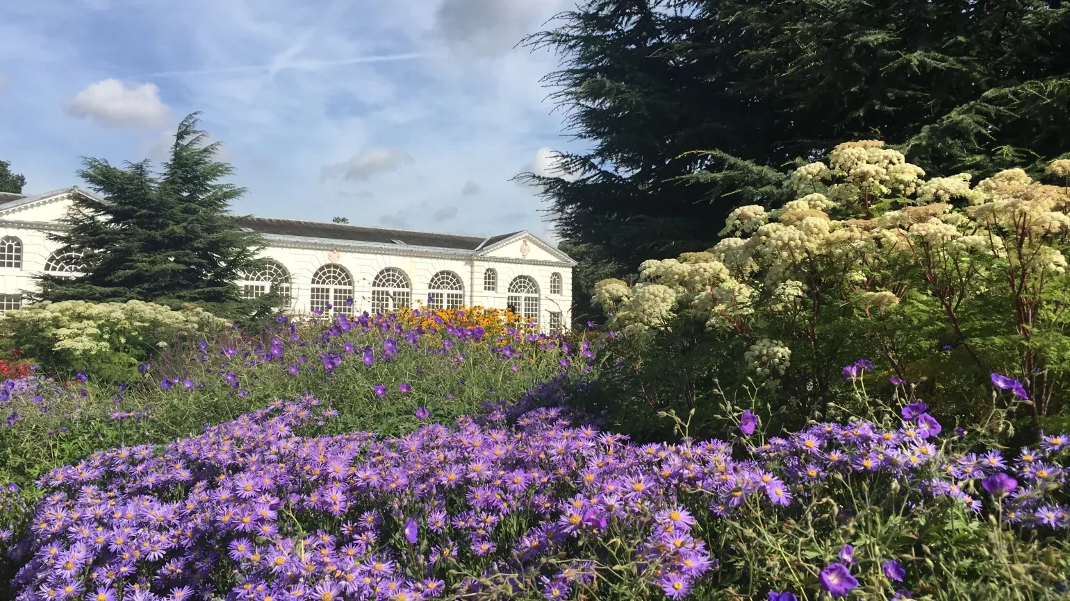 Great Broad Walk Borders with The Orangery in the background