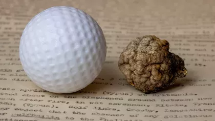 Side by side comparison of an unburnt golf ball and a burnt golf ball 