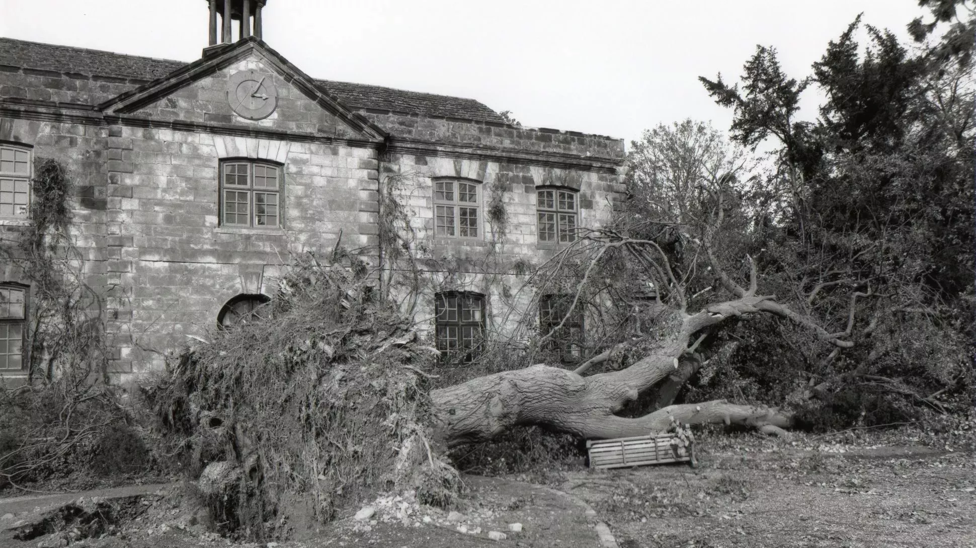 A black and white photography showing a tree fallen outside the Wakehurst Mansion © RBG Kew