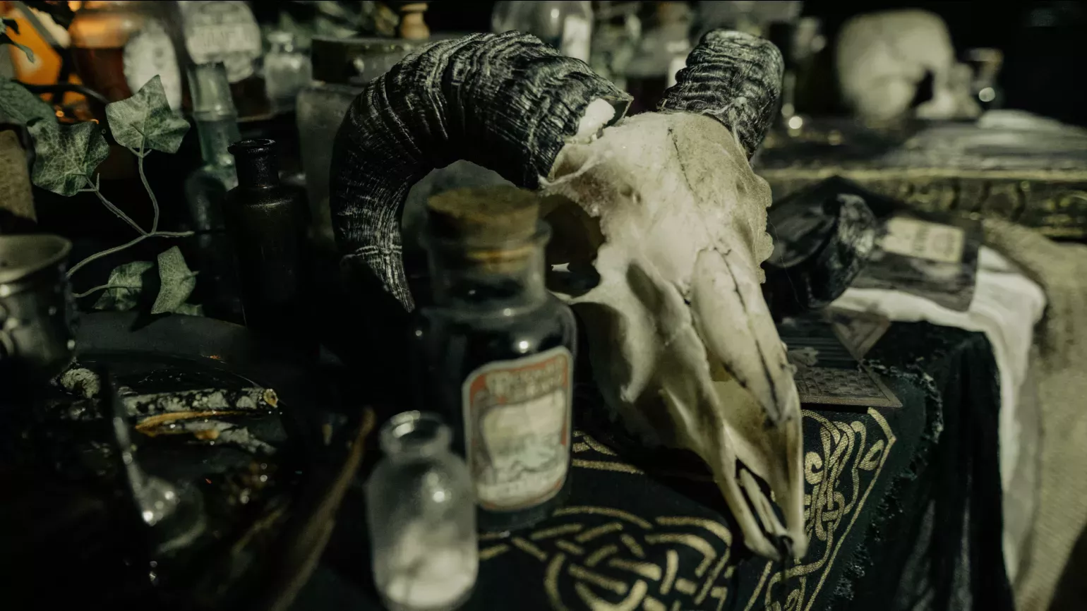 Old-fashioned glass bottles with stoppers on a table with a sheep skull