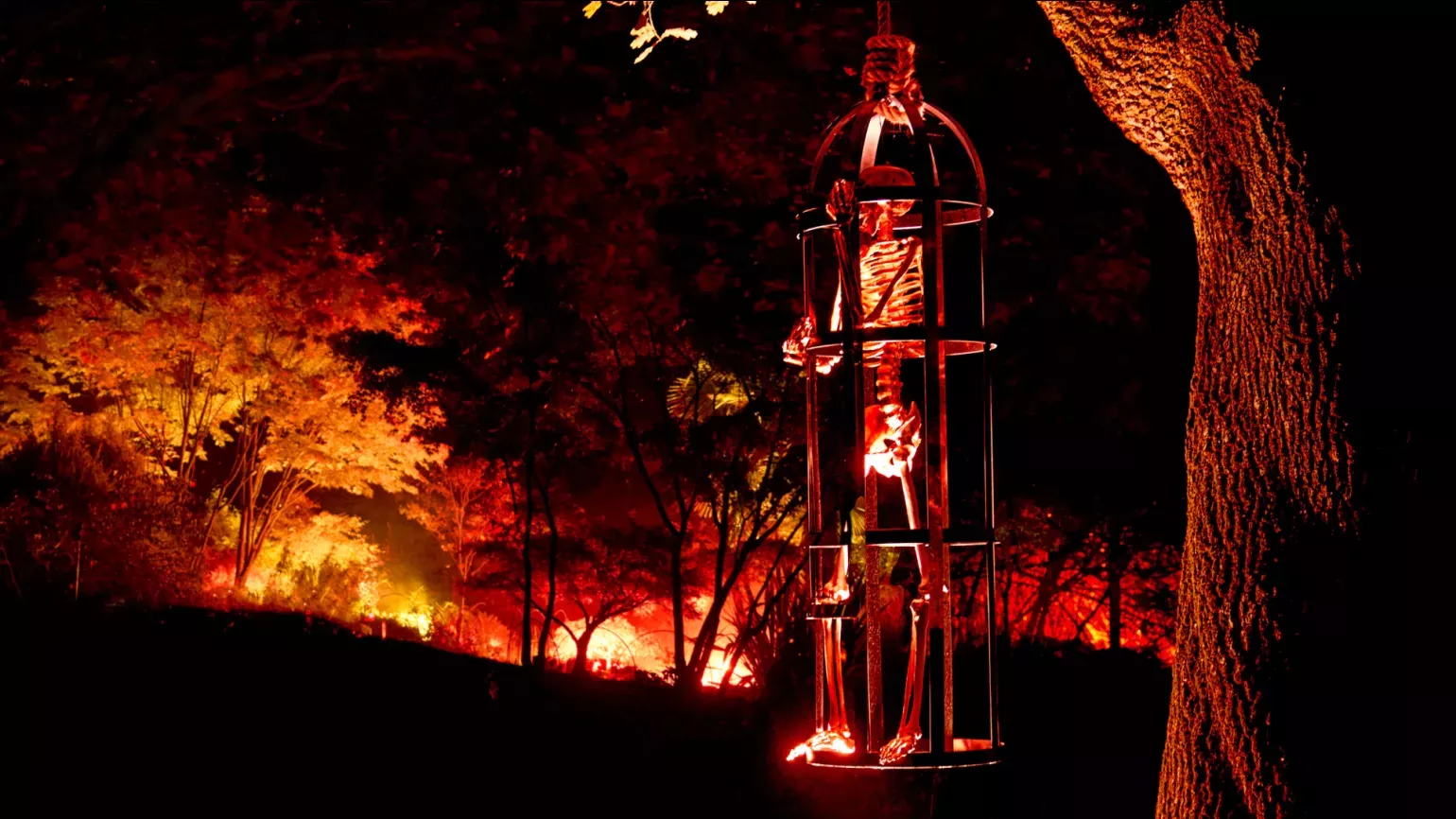 Fake skeleton standing in a metal cage hanging from a tree branch, lit in spooky red