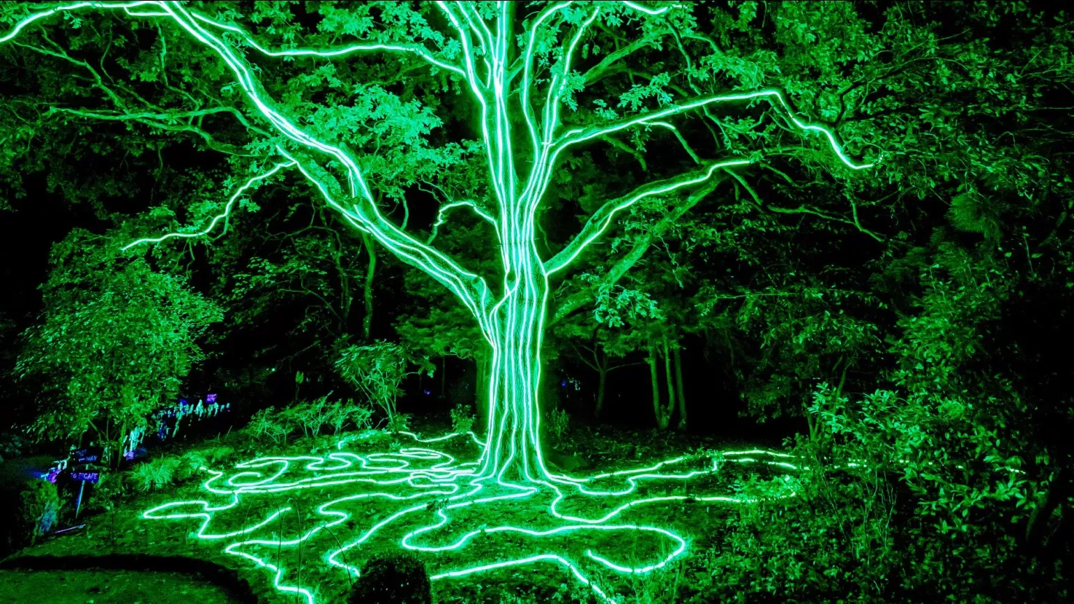 A tree covered in neon green lights