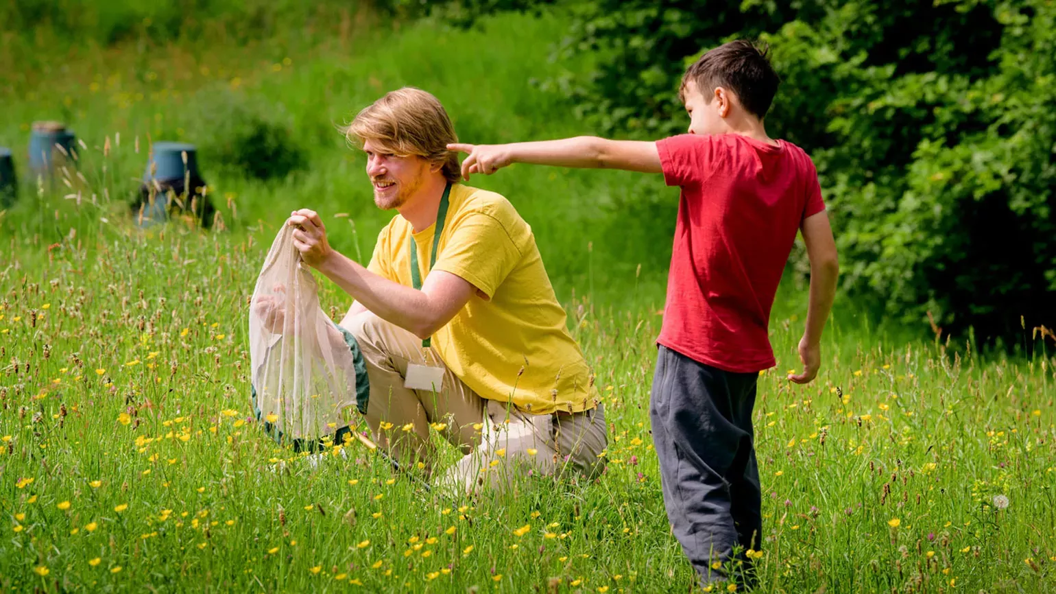 Researcher and child with a net catching bees