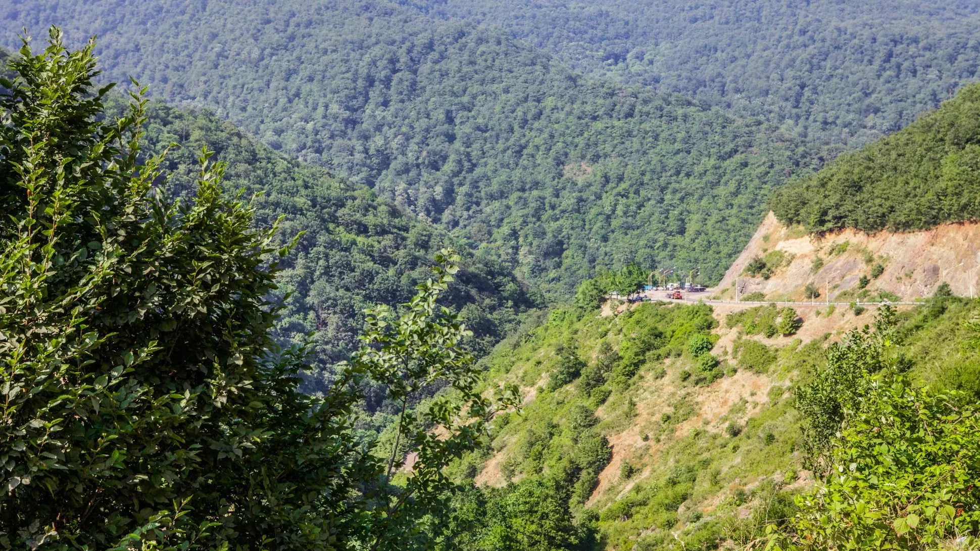 A forested landscape with a road running by a cliff