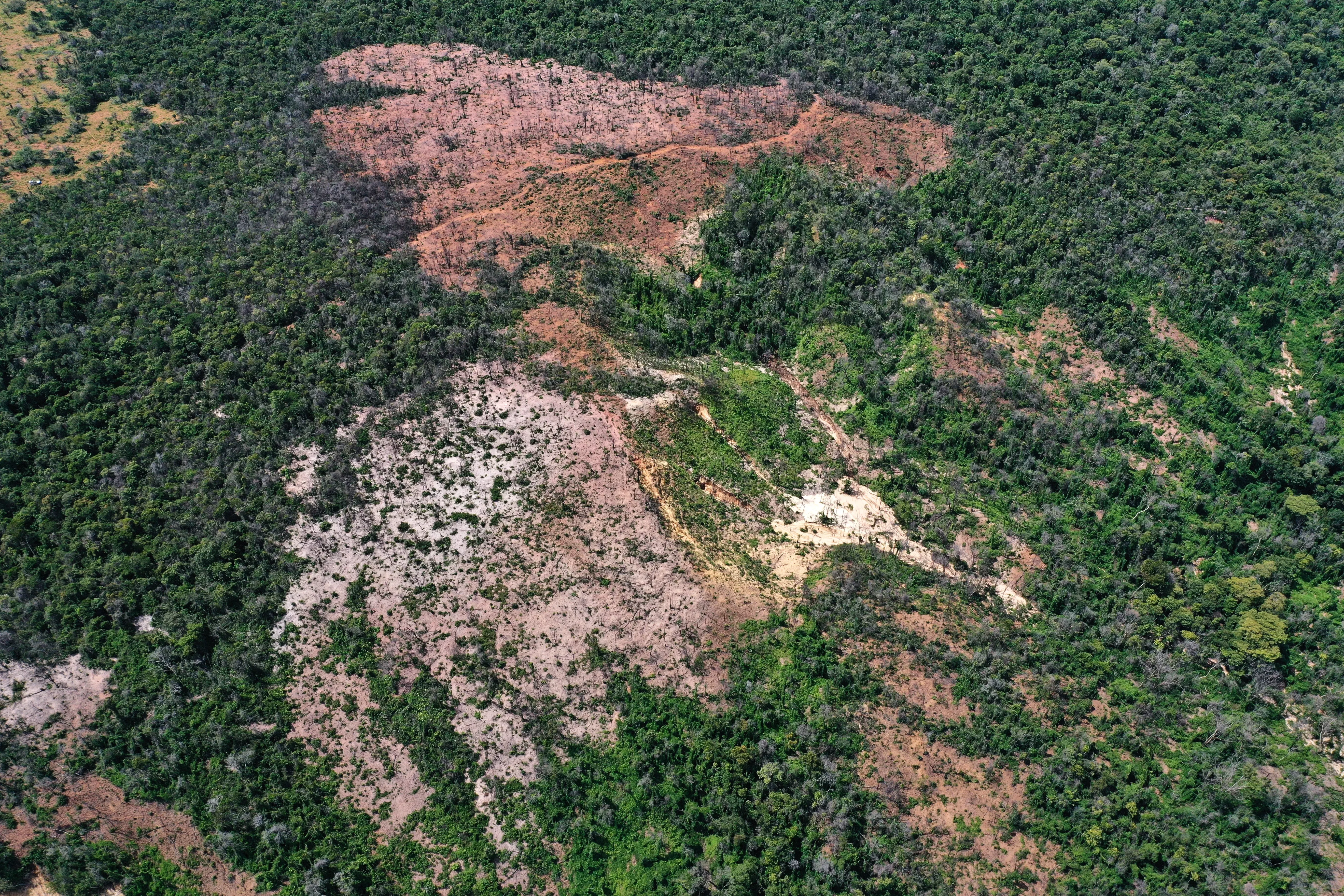 Seen from above, burnt areas stand out as brown patches in an otherwise sea of green