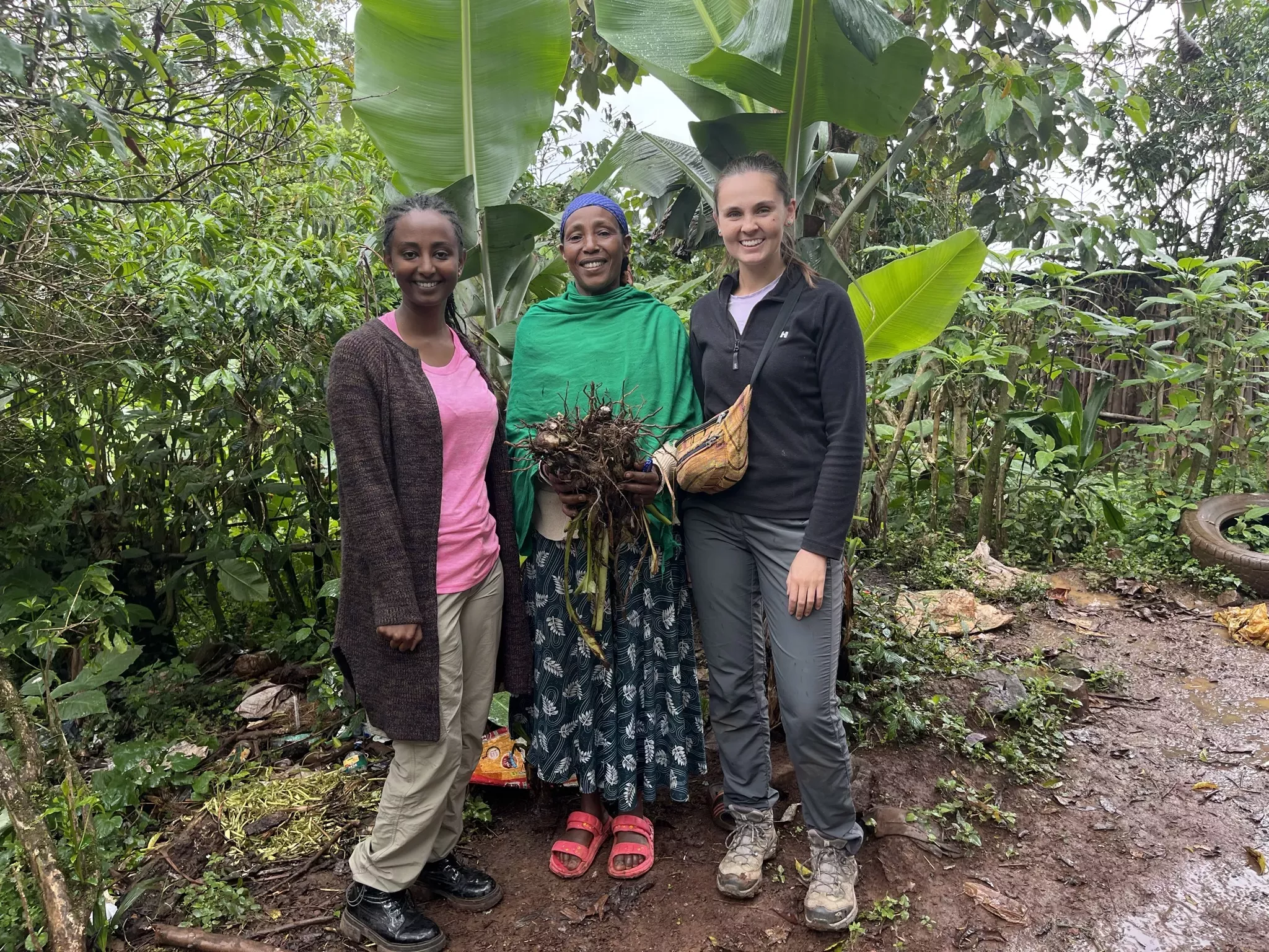 Three women stand infront of an enset plant