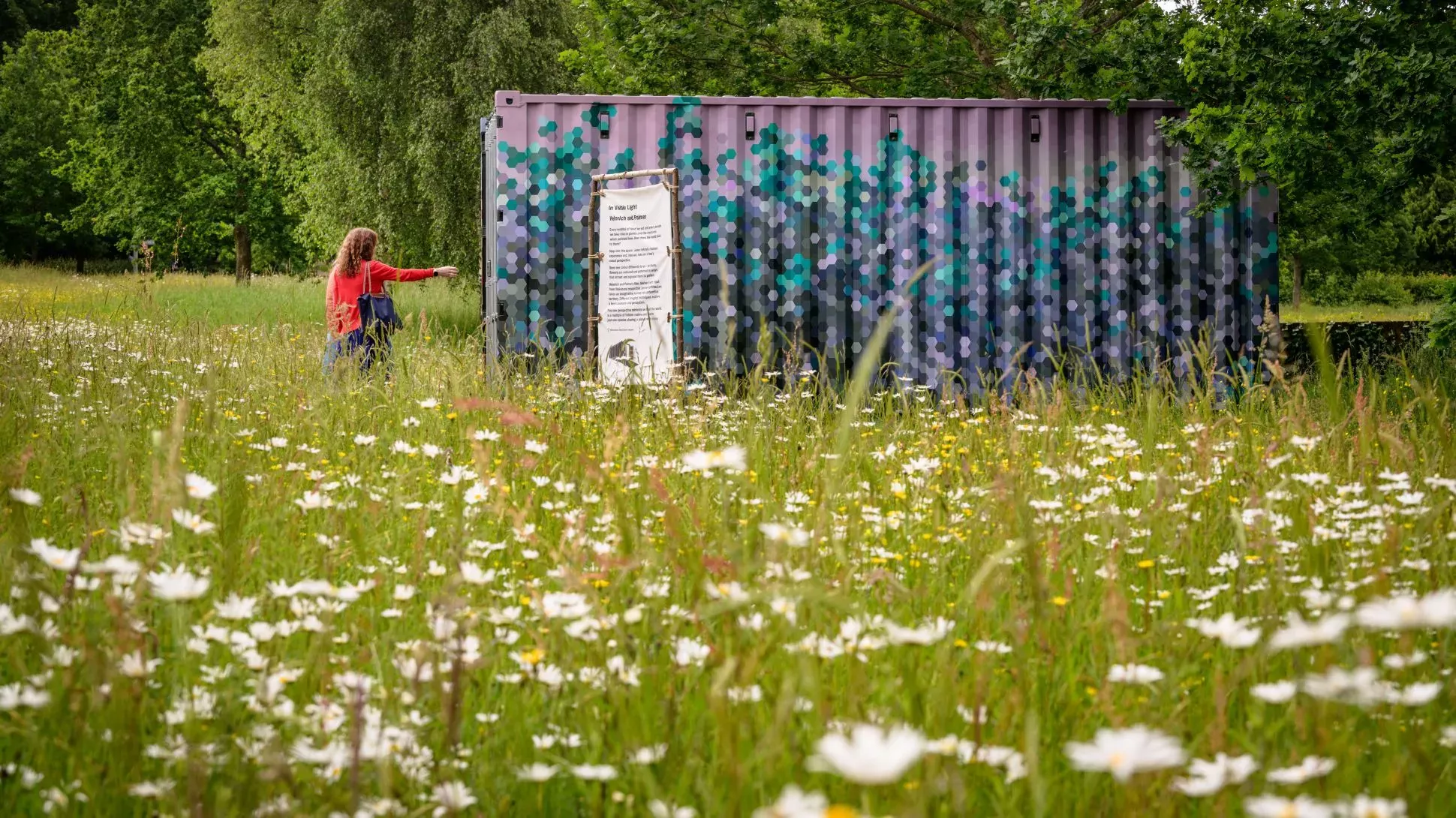 A large decorated shipping container in a field of flowers