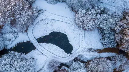 A bird's eye view of Wakehurst Iris Dell in the snow