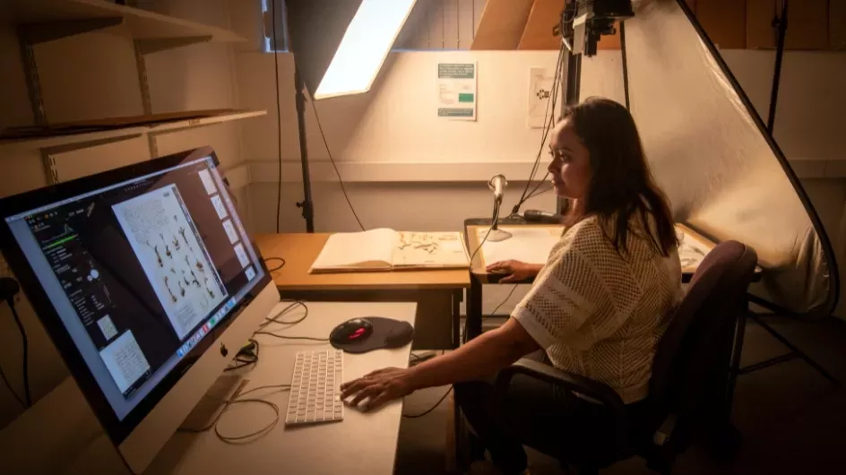 Person looks at a plant specimen on a computer screen