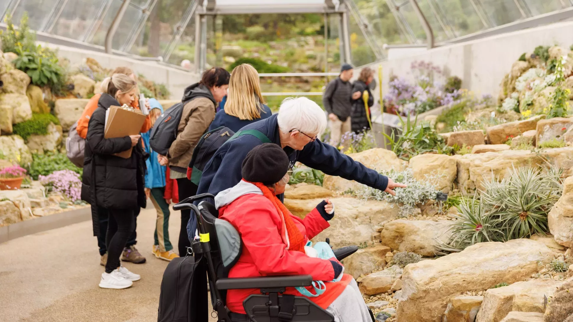 Group of people looking at plants in the Davies Alpine House