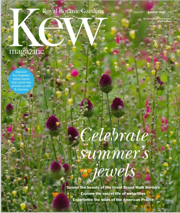 The cover of Kew magazine showing wildflowers