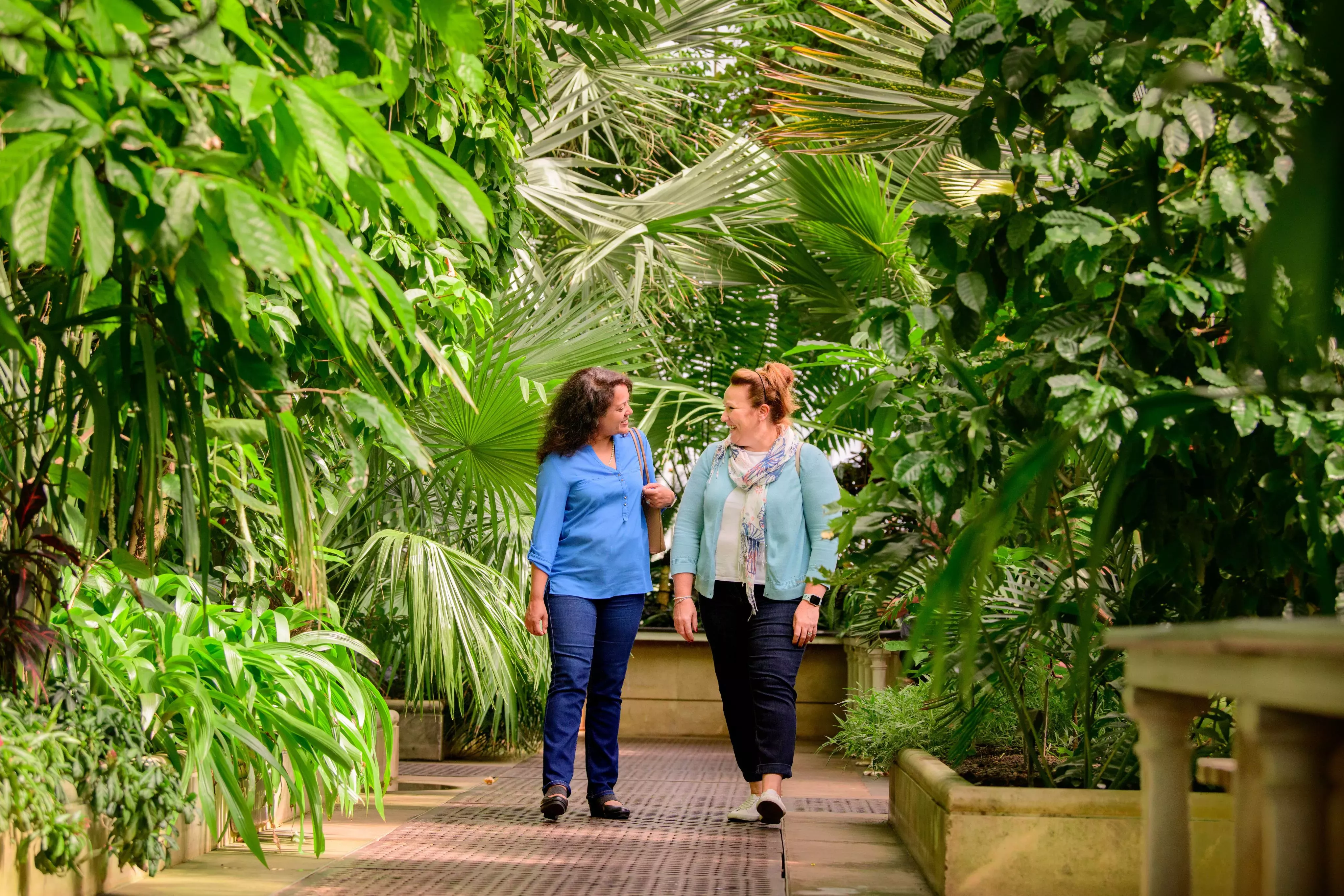 Two women chat to each other amongst the greenery of the Palm House