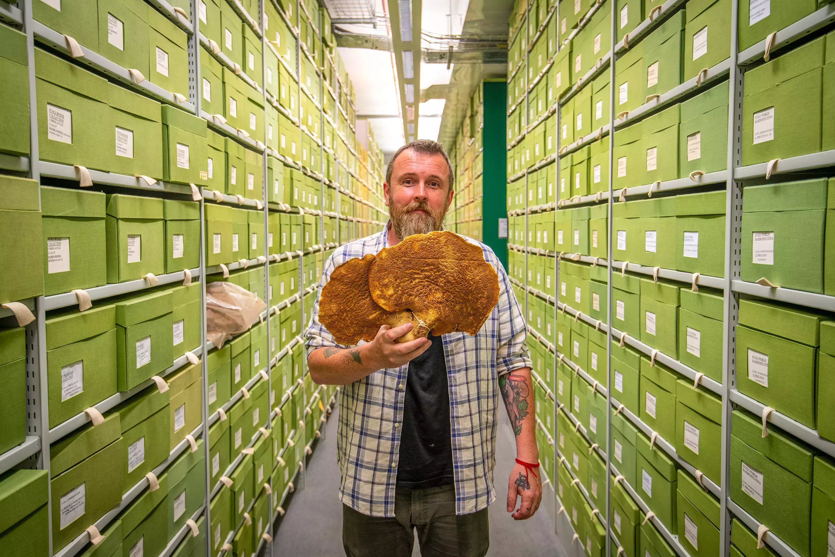 A man holds a large dried fungal specimen in a corridor lined with boxes