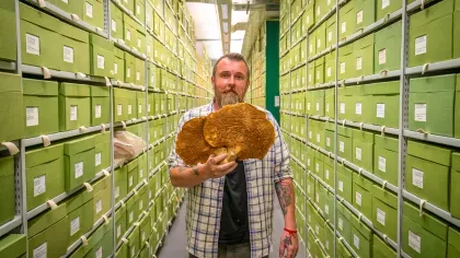 A man holds a large dried fungal specimen in a corridor lined with boxes