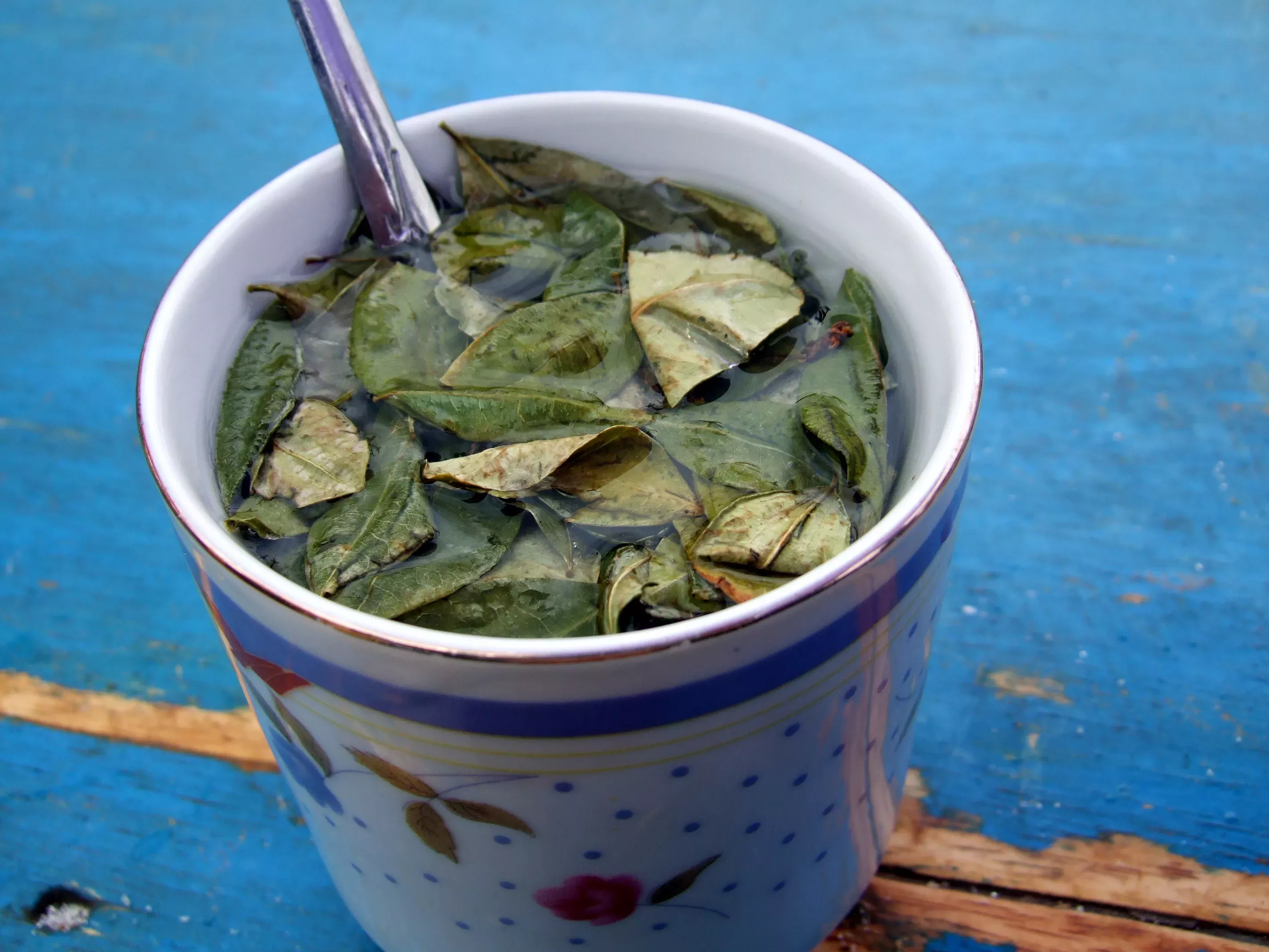 A cup with coca leaves suspended in water