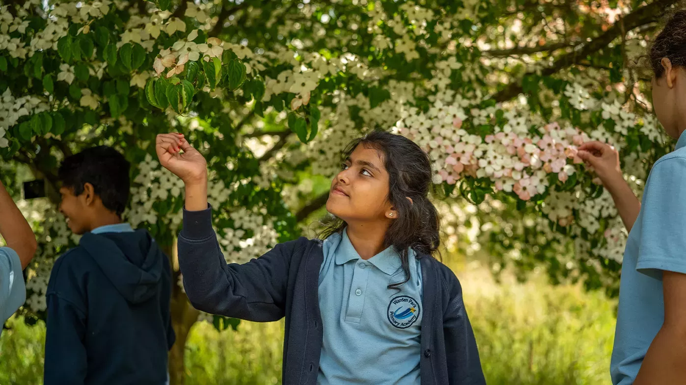 A group of school children look at the branches of a tree