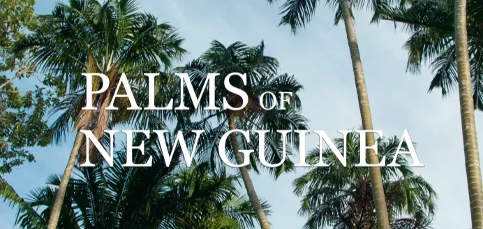 Palm trees are overlaid with the text "Palms of New Guinea"