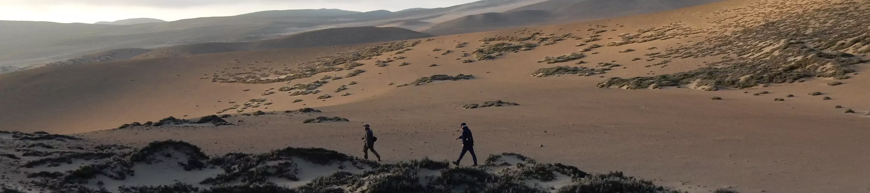 Two men walk among desert plants and sand