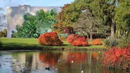 A large artwork appears from behind trees, with a pond in the foreground