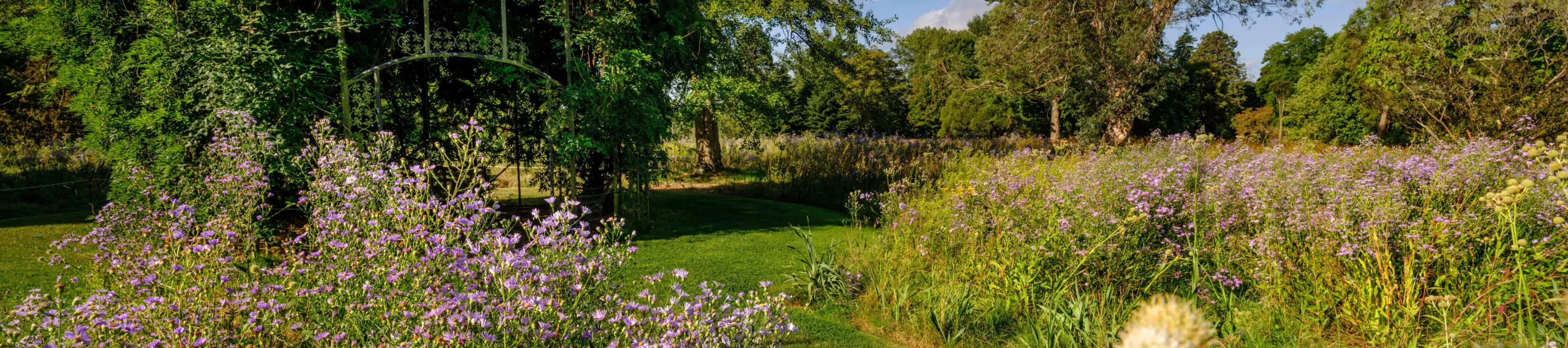 Lush American Prairie surrounding the Bird Cage seating area