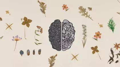 Herbarium specimens sit to the side of a diagram of a brain