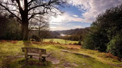 View over Loder Valley at Wakehurst in winter