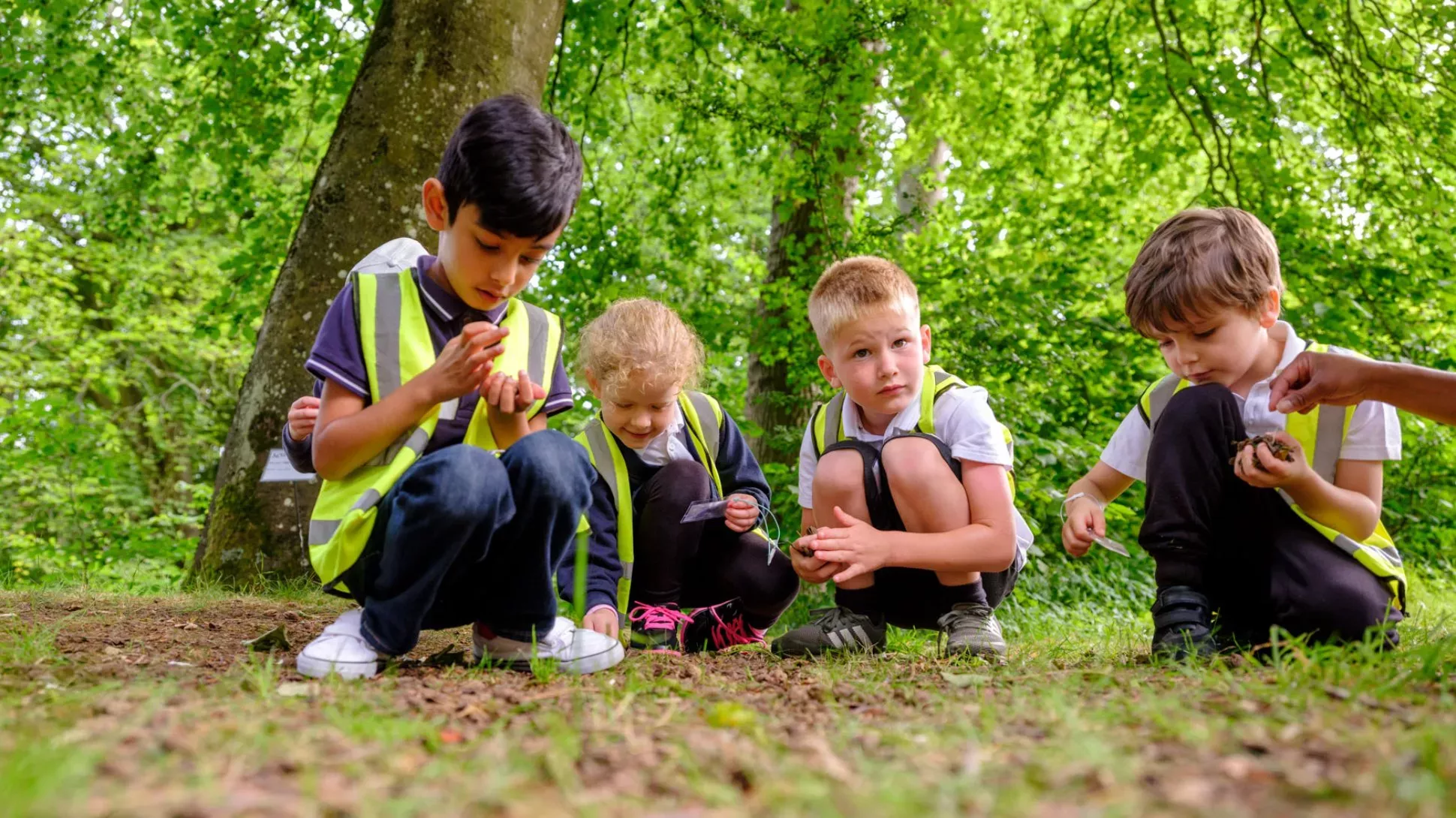 A group of children investigate the ground in a forest environment