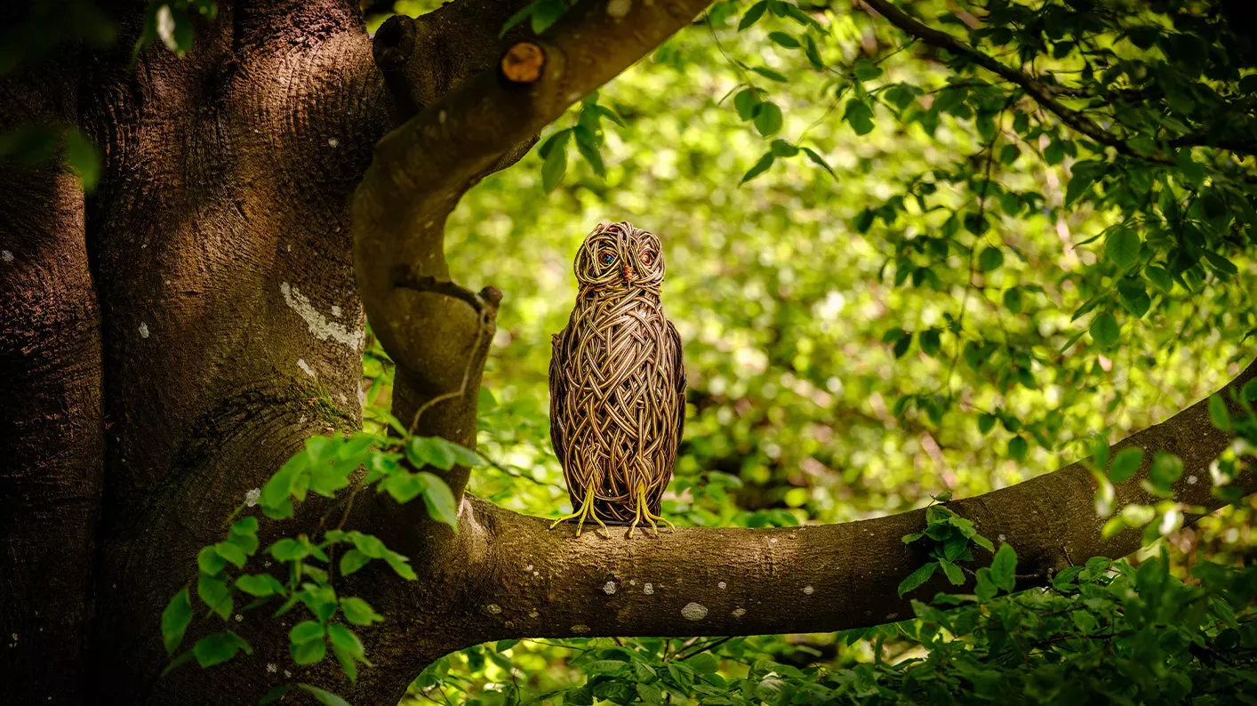 A woven owl sculpture in a tree